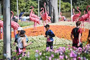 BIB: 
                            <button type="button" onclick="openModal(27794392)" class="btn btn-primary btn-sm float-right btn-popup" data-toggle="modal" data-target=".modal-high-quality">
                        <i class="fas fa-shopping-cart"></i> Add to Cart
                    </button>
                                            <button type="button" onclick="isThisMe(27794392, true)" class="btn btn-success btn-sm float-right btn-popup btn-isme hidden" data-toggle="tooltip" data-placement="bottom" title="นี่คือรูปของคุณใช่ไหม คลิกที่นี่เพื่อเอาเข้าอัลบั้ม">
                        <i class="fas fa-plus"></i> Add to album
                    </button>
                    <button type="button" onclick="isThisMe(27794392, false)" class="btn btn-warning btn-sm float-right btn-popup btn-isnotme hidden">
                        <i class="fas fa-ban"></i> Remove from album
                    </button>